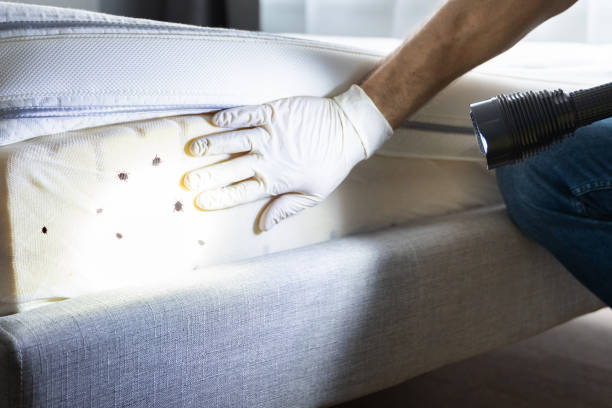 Best Commercial Pest Control Services  in Dunkirk, MD